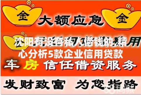 沈阳有没有私人借钱的,精心分析5款企业信用贷款平台