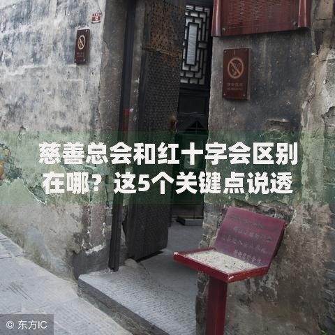 慈善总会和红十字会区别在哪？这5个关键点说透了