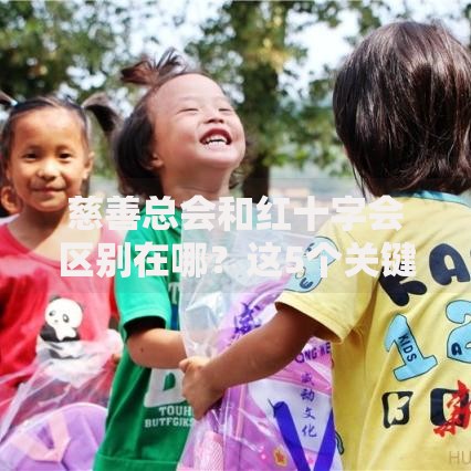 慈善总会和红十字会区别在哪？这5个关键点说透了