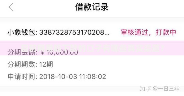 目前网黑能下款的口子有哪些真实渠道？