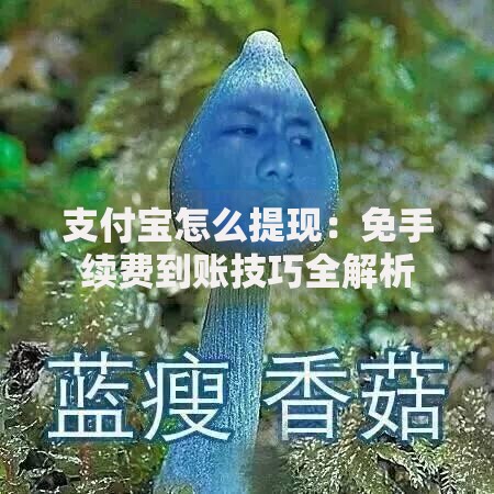 支付宝怎么提现：免手续费到账技巧全解析