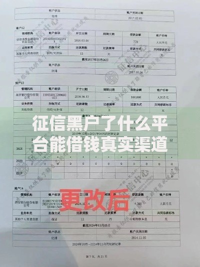 征信黑户了什么平台能借钱真实渠道解析