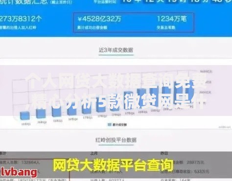 个人网贷大数据查询免费,精心分析5款微贷网是什么网贷平台