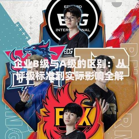 企业B级与A级的区别：从评级标准到实际影响全解析