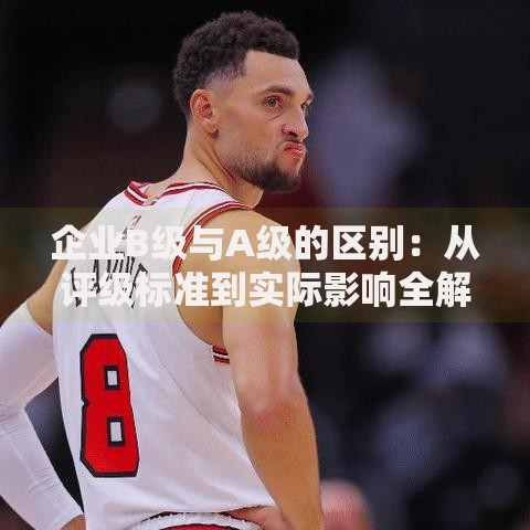 企业B级与A级的区别：从评级标准到实际影响全解析