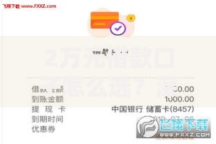 2万元借款口子怎么选？深度解析正规渠道与避坑指南