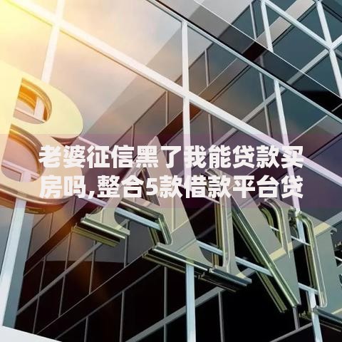 老婆征信黑了我能贷款买房吗,整合5款借款平台贷款不看征信