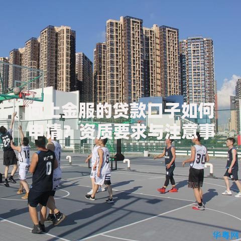 向上金服的贷款口子如何申请？资质要求与注意事项解析