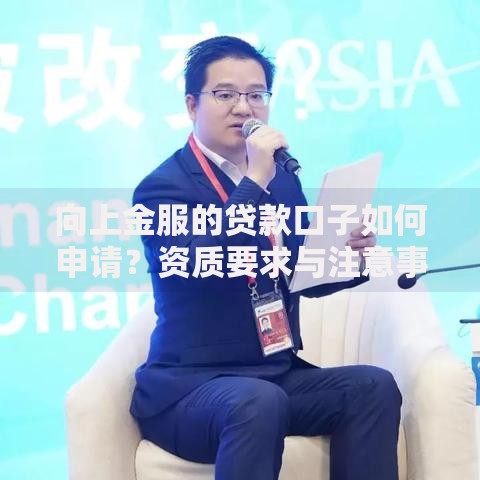 向上金服的贷款口子如何申请？资质要求与注意事项解析