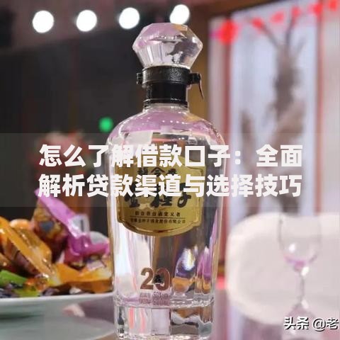 怎么了解借款口子：全面解析贷款渠道与选择技巧