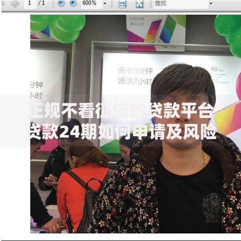 正规不看征信的贷款平台贷款24期如何申请及风险防范
