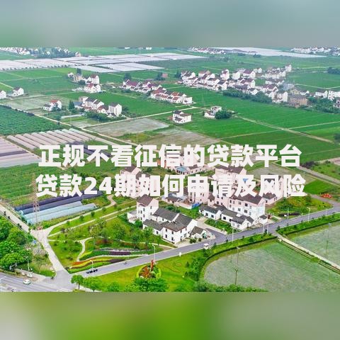 正规不看征信的贷款平台贷款24期如何申请及风险防范