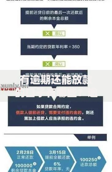 有逾期还能放款的口子有哪些？逾期贷款渠道深度解析