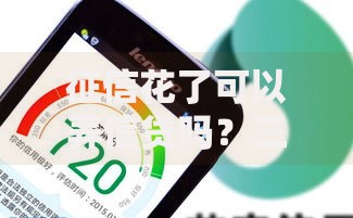 征信花了可以弄信贷吗？三大策略助你成功申贷