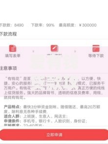 爱有钱贷款攻略：如何申请及条件全解析