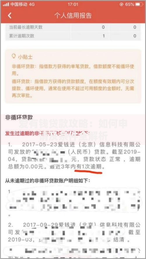 爱有钱贷款攻略：如何申请及条件全解析