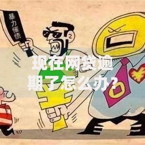 现在网贷逾期了怎么办？解决步骤与应对策略解析