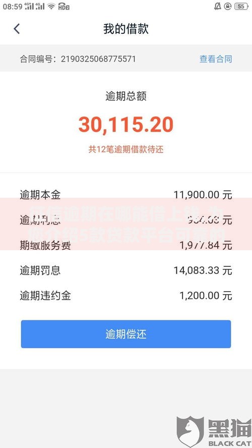征信逾期在哪能借上钱,为您介绍5款贷款平台可靠的