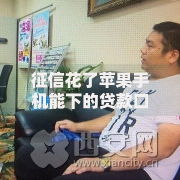 征信花了苹果手机能下的贷款口子？征信不良借款方案解析