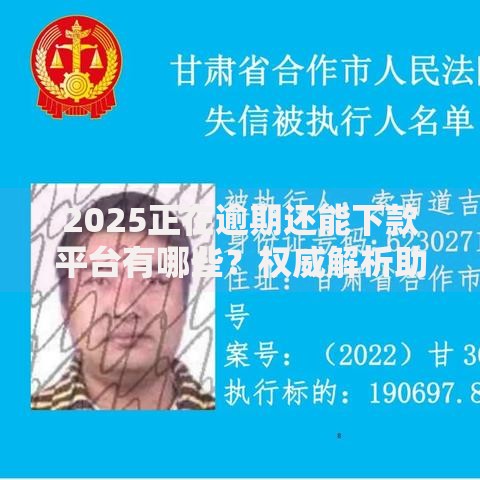 2025正在逾期还能下款平台有哪些？权威解析助你快速申请
