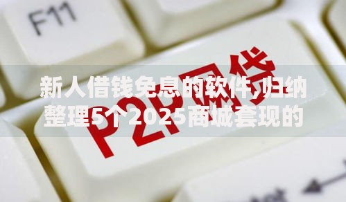 新人借钱免息的软件,归纳整理5个2025商城套现的口子都有什么
