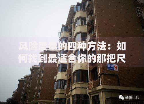 风险度量的四种方法：如何找到最适合你的那把尺子？