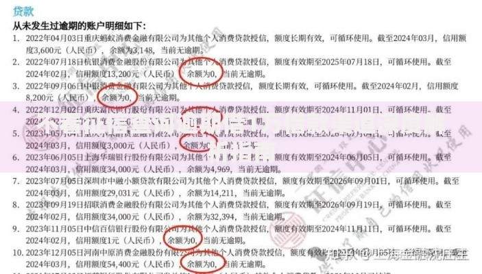 不看征信查询逾期借1万借款渠道深度解析指南
