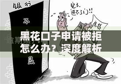 黑花口子申请被拒怎么办？深度解析补救方案