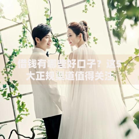 借钱有哪些好口子？这5大正规渠道值得关注