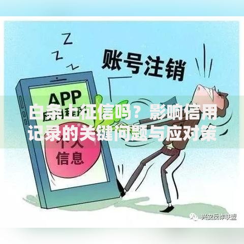 白条上征信吗？影响信用记录的关键问题与应对策略
