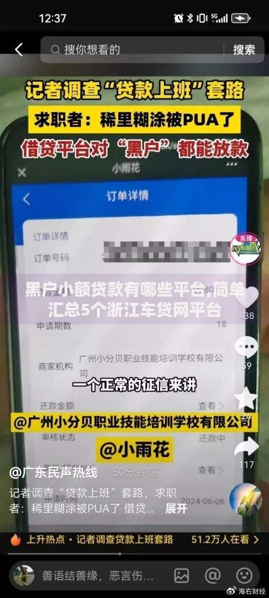 黑户小额贷款有哪些平台,简单汇总5个浙江车贷网平台