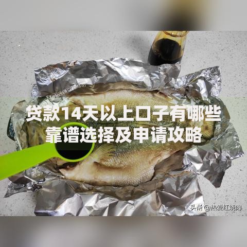 贷款14天以上口子有哪些靠谱选择及申请攻略