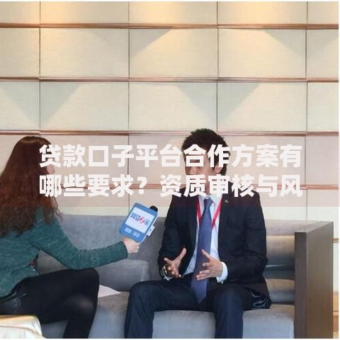 贷款口子平台合作方案有哪些要求？资质审核与风控策略解析