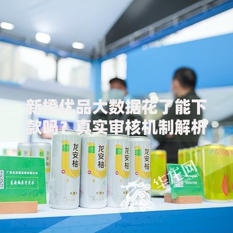 新橙优品大数据花了能下款吗？真实审核机制解析