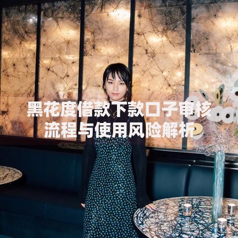 黑花度借款下款口子审核流程与使用风险解析