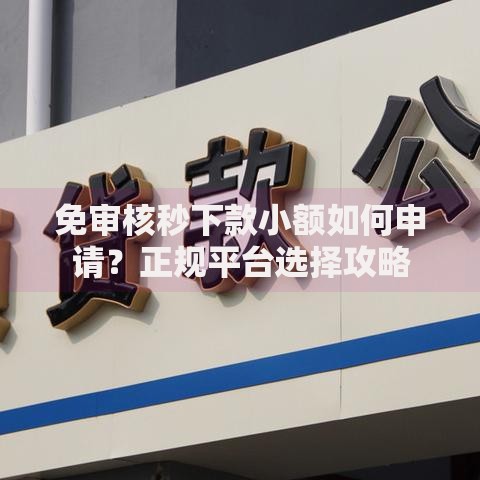 免审核秒下款小额如何申请？正规平台选择攻略