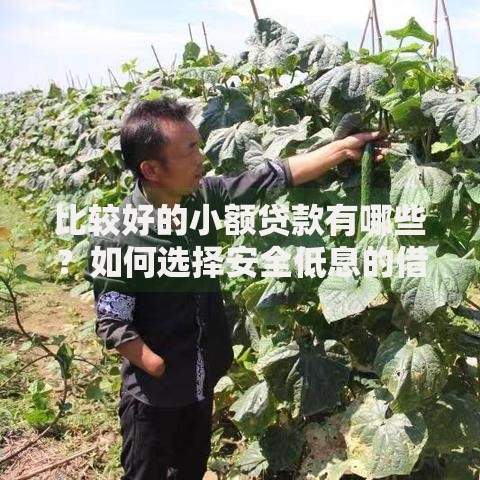 比较好的小额贷款有哪些？如何选择安全低息的借款平台