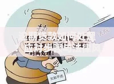 逾期贷款如何处理？应对步骤与法律风险解析