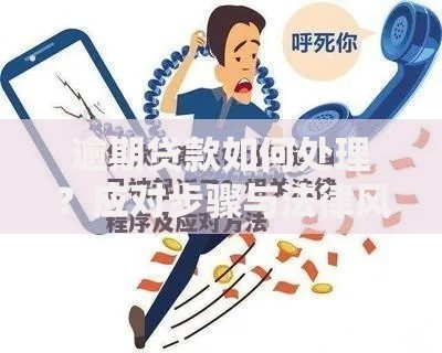 逾期贷款如何处理？应对步骤与法律风险解析