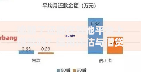 逾期了还能在其他平台上借款吗?信用评估与借贷策略解析 逾期了还能在其他平台上借款吗?信用评估与借贷策略解析