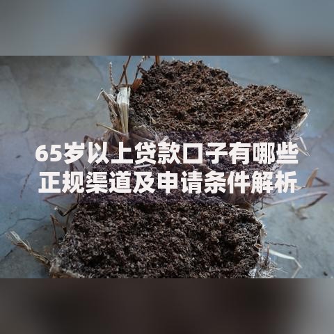 65岁以上贷款口子有哪些正规渠道及申请条件解析