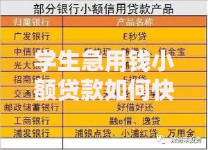 学生急用钱小额贷款如何快速申请?安全渠道全解析 学生急用钱小额贷款如何快速申请?安全渠道全解析