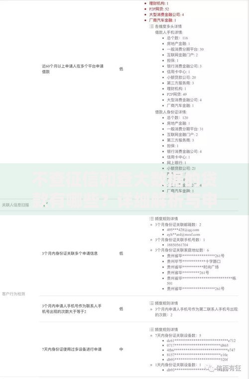 不查征信和查大数据的贷款有哪些？详细解析与申请指南