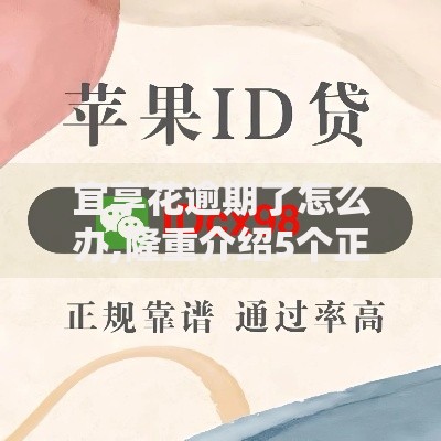 宜享花逾期了怎么办,隆重介绍5个正规苹果id贷口子2025