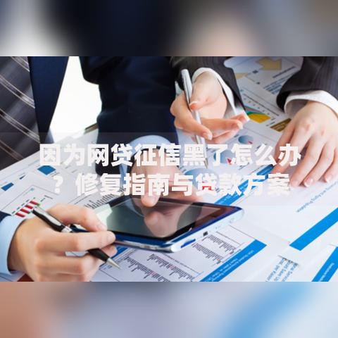 因为网贷征信黑了怎么办？修复指南与贷款方案
