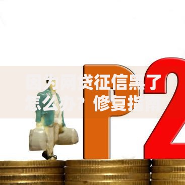 因为网贷征信黑了怎么办？修复指南与贷款方案