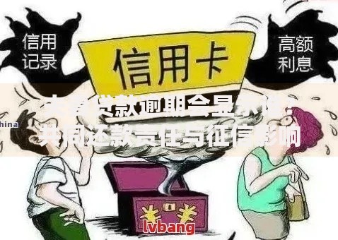 夫妻贷款逾期会显示谁？共同还款责任与征信影响解析