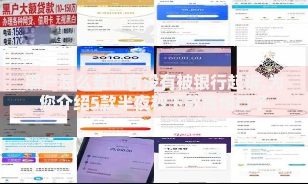 黑户怎么查询有没有被银行起诉,为您介绍5款半夜秒下款高炮口子