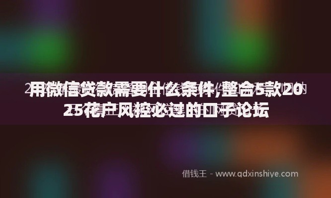 用微信贷款需要什么条件,整合5款2025花户风控必过的口子论坛