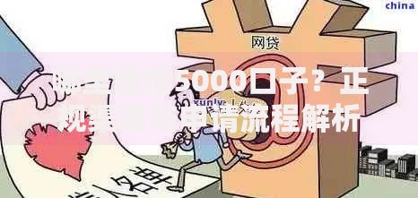 哪里能借5000口子？正规渠道与申请流程解析
